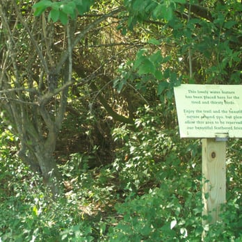 Butterfly Garden - Parks Near Me - Port Isabel, Texas Butterfly Garden - Parks Near Me - Port Isabel, Texas