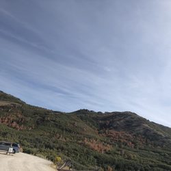 Little Valley Trailhead - Biking trails run through the trees on the mountain