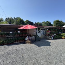 Arnold’s Market