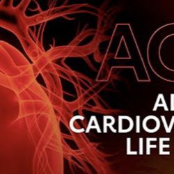 Med+Outreach CPR - Providing ALCS  Initial/Renewal, Blended (online/skill) courses