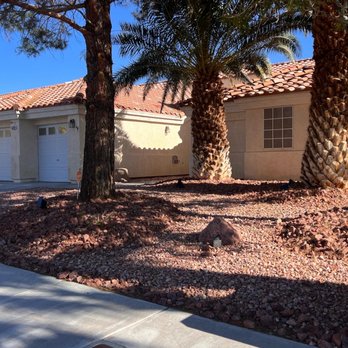 Much Better Landscape - palm trees in front of a house - Lawn Services Near Me Much Better Landscape - palm trees in front of a house - Lawn Services Near Me