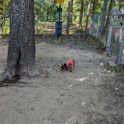 Oklahoma City East KOA - Enclosed dog area