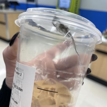 Starbucks - Hair in the drink - Coffee & Tea Near Me - Layton, Utah