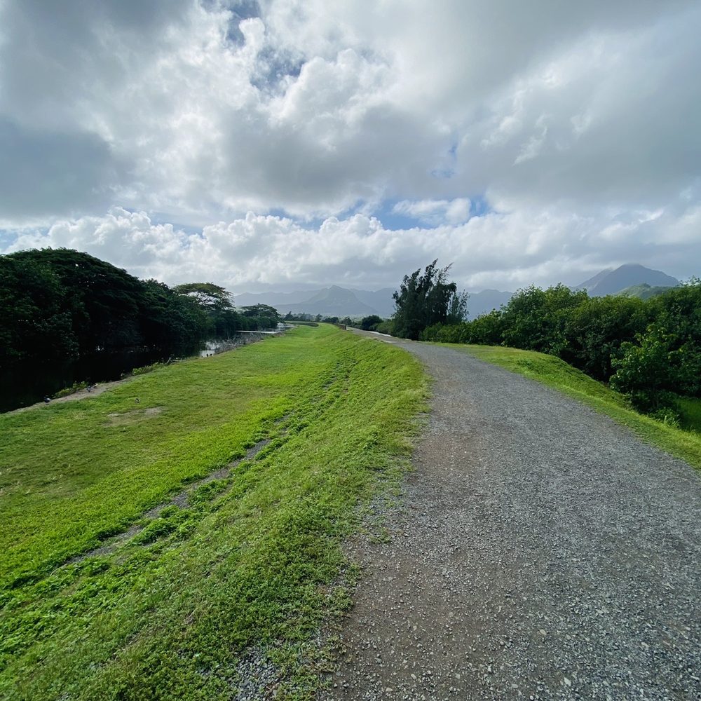 Kawainui Marsh Trail - Hiking Near Me - Kailua, Hawaii
