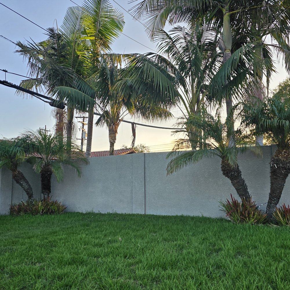 Top Unit Tree Service - BEFORE - Tree Services Near Me - Norwalk, California Top Unit Tree Service - BEFORE - Tree Services Near Me - Norwalk, California