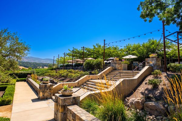 Shadybrook Estate Winery by null