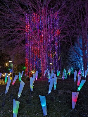 The North Carolina Arboretum by null
