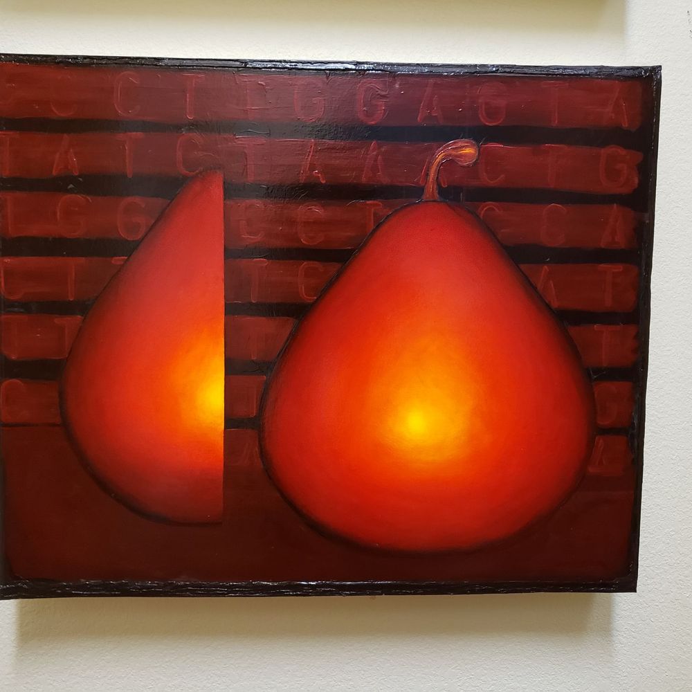 Marin Moca - Art Galleries Near Me - Novato, California Marin Moca - Art Galleries Near Me - Novato, California
