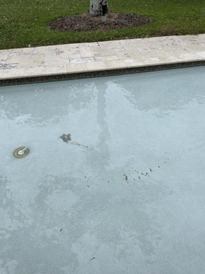 D' Pool Store & Construction