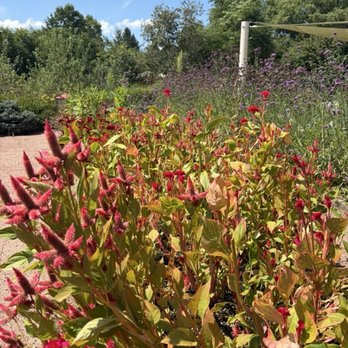 Greendance Winery - Flowers - Wineries Near Me - Mount Pleasant, Pennsylvania