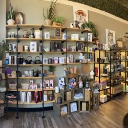 The Tea Spout - Brewing accessories and tea display