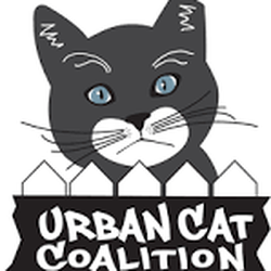 Urban Cat Coalition