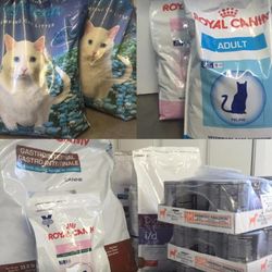 Second Home Pet Resort - Photo