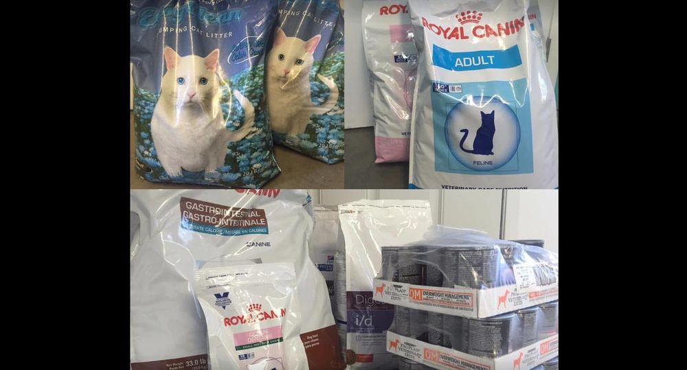 SECOND HOME PET RESORT Updated October 2024 15 Photos 25515