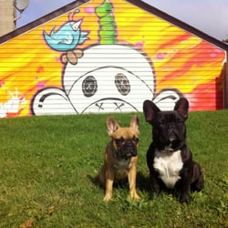 Euston Park - Me plus Mirabelle hanging out in the sunsmiles at Euston Park!