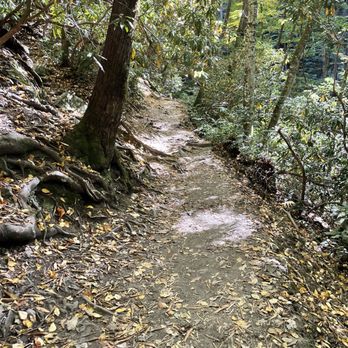 Mingo Falls - Narrow trial - Hiking Near Me - Cherokee, North Carolina