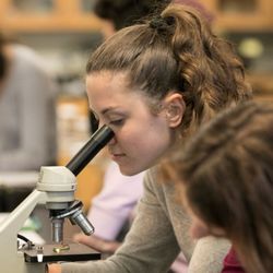 San Francisco Waldorf High School - In the bio lab.