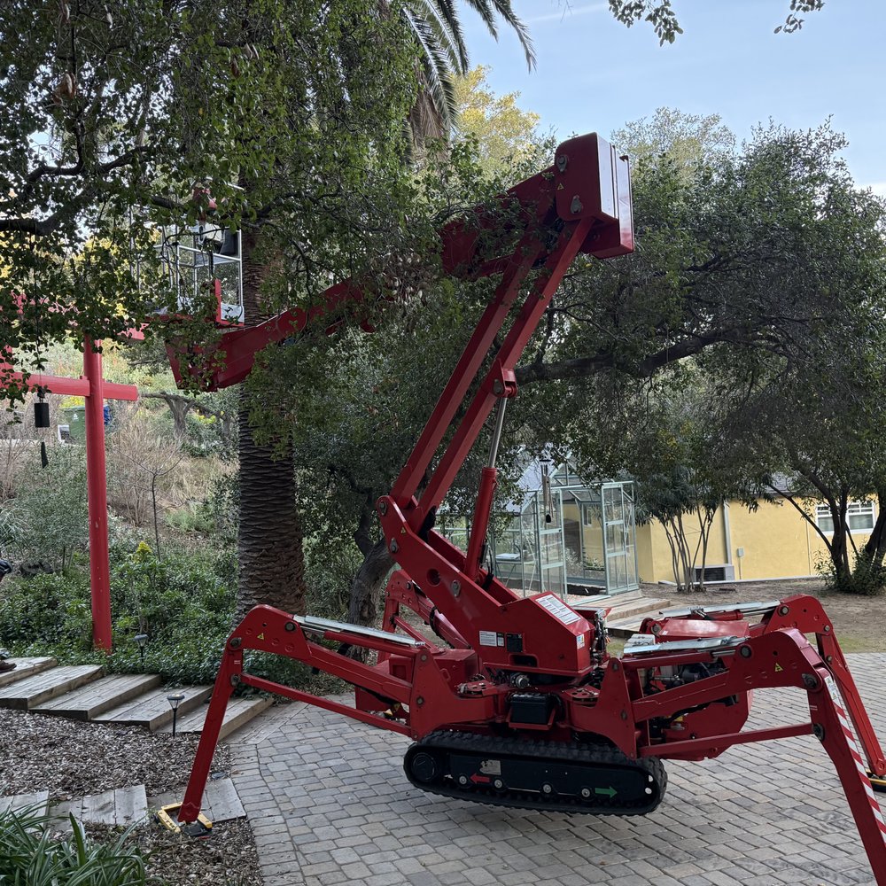 Royal Tree Service - Wow! Amazing "helper". Great crew that uses the
"spider"! - Tree Services Near Me - Sunland, California Royal Tree Service - Wow! Amazing "helper". Great crew that uses the
"spider"! - Tree Services Near Me - Sunland, California