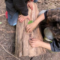 Kidspace Child Enrichment Center - Worm digging is a favorite pastime at Nature School!