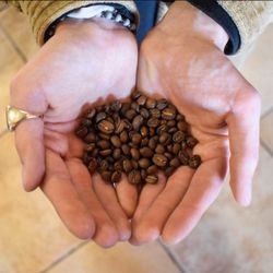 WhereUBean Coffee - Direct trade coffee beans that make our espresso above the rest