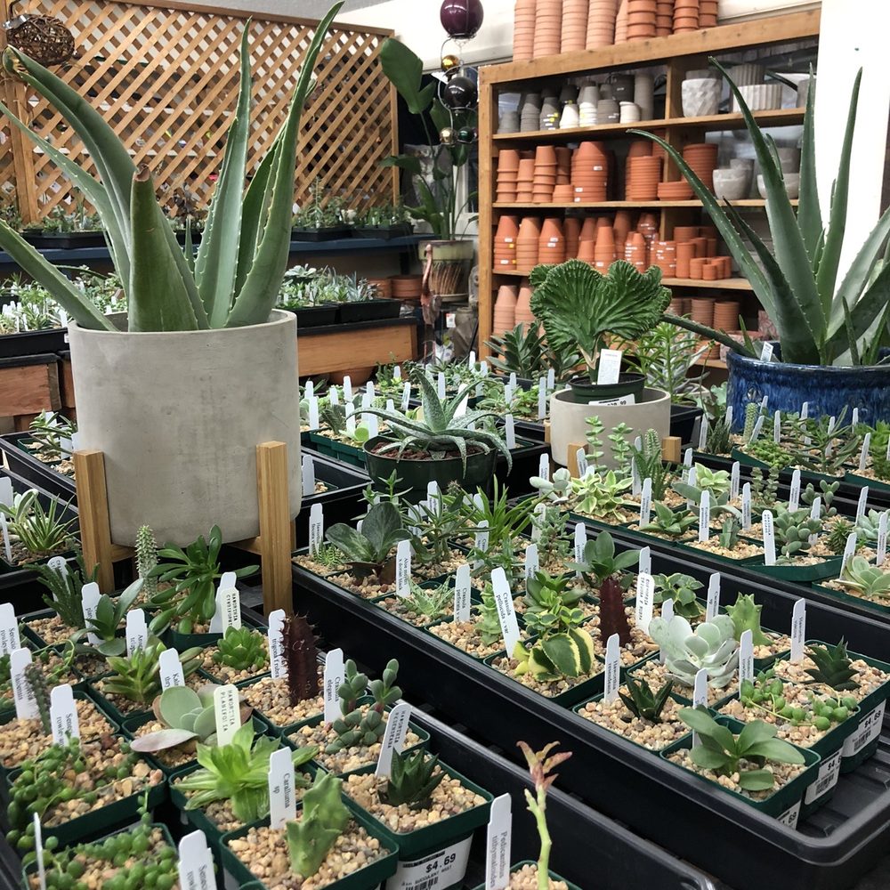 Rick's Garden Center - Nurseries & Gardening Near Me - Colorado Springs, Colorado