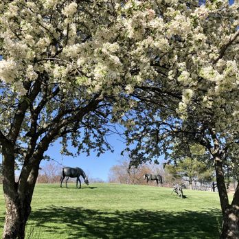 Thoroughbred Park - Parks Near Me - Lexington, Kentucky Thoroughbred Park - Parks Near Me - Lexington, Kentucky
