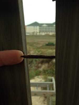 Andy Bowie County Park by null