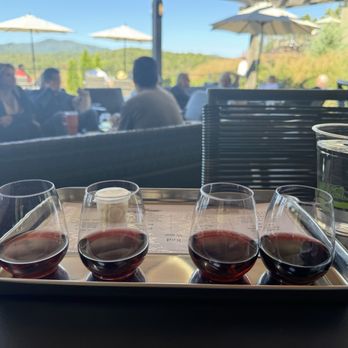 Roo Mountain Vineyards - Flight. Tiny shots of wine served in plastic cups. - Wineries Near Me - Ellijay, Georgia Roo Mountain Vineyards - Flight. Tiny shots of wine served in plastic cups. - Wineries Near Me - Ellijay, Georgia