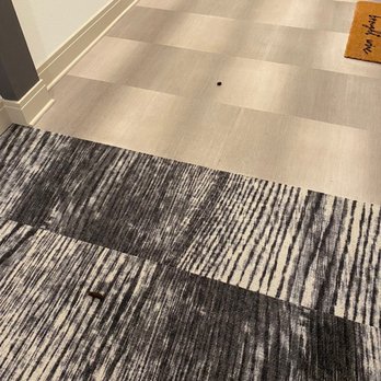 The Mark at Fishers District - Dog feces in hallway outside of my apartment - Apartments Near Me - Fishers, Indiana