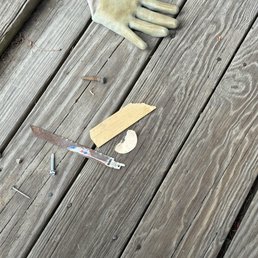 This is the screw, sharp metal, and rusted razor blade that we picked up after they left. This is the screw, sharp metal, and rusted razor blade that we picked up after they left.