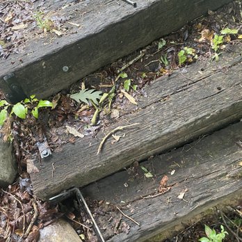 Aunt Bug's Cabin Rentals - Broken steps. Hinges/nails sticking out - Vacation Rentals Near Me - Pigeon Forge, Tennessee Aunt Bug's Cabin Rentals - Broken steps. Hinges/nails sticking out - Vacation Rentals Near Me - Pigeon Forge, Tennessee