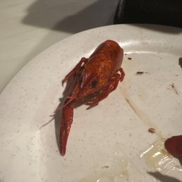 Lobster wink at me Lobster wink at me