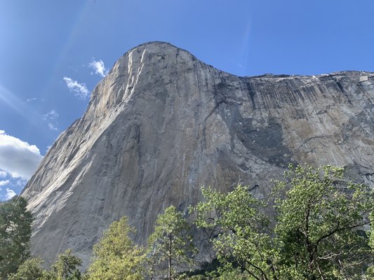 El Capitan by null