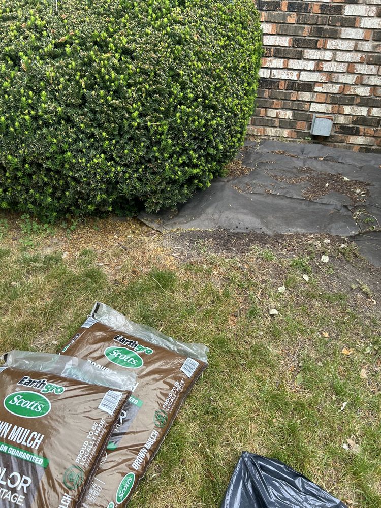 Slide of George’s Home Improvement