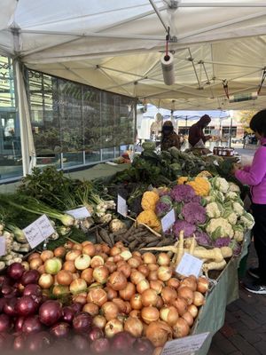 Copley Square Farmers Market by null