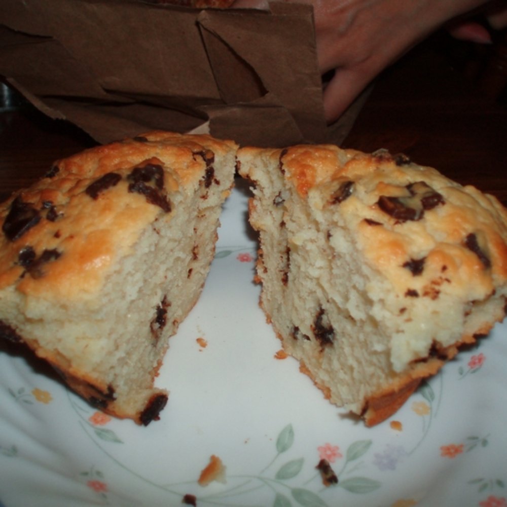 Common Ground - chocolate chip muffin - Coffee & Tea Near Me - Baltimore, Maryland Common Ground - chocolate chip muffin - Coffee & Tea Near Me - Baltimore, Maryland