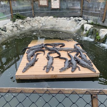 Smugglers Cove Adventure Golf - Mini Golf Near Me - Bradenton, Florida