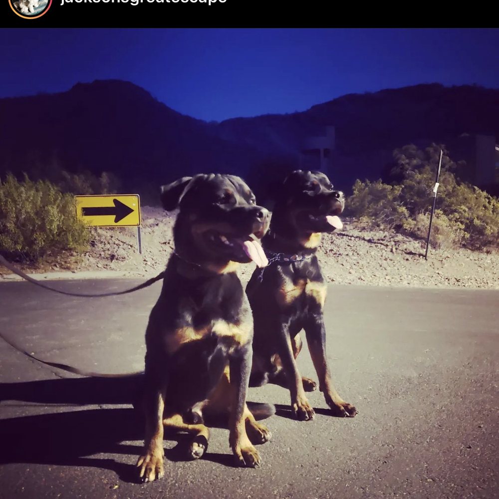 Pup Luv Training - Pet Training Near Me Pup Luv Training - Pet Training Near Me