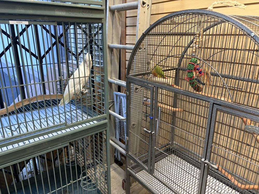 PARROTS NATURALLY - Updated July 2026 - 22 Photos & 49 Reviews - 22140 ...
