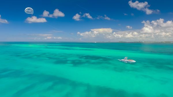 Fury Water Adventures Key West by null