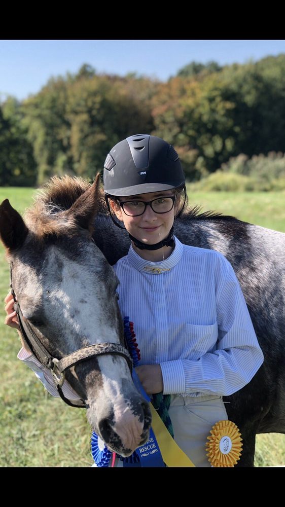 Tivoli Equestrian Center - equestrian in Tivoli, NY