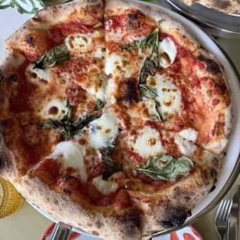 Lucrezia La Jolla - Italian Near Me - San Diego, California Lucrezia La Jolla - Italian Near Me - San Diego, California