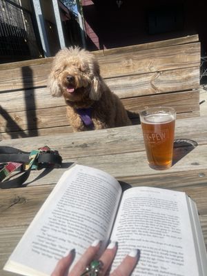Underdogs Pub by null