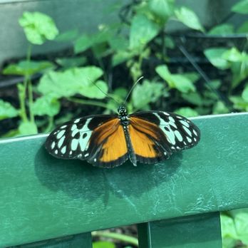Peck Farm Park - Parks Near Me - Geneva, Illinois