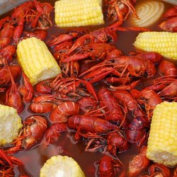 The Crawfish Shack - Boiled crawfish with corn