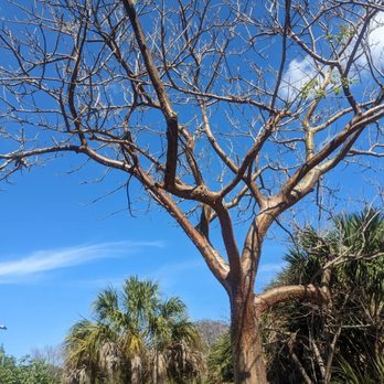 Plantation Preserve Linear Trail - Parks Near Me - Plantation, Florida
