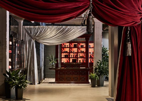 The Radical Asheville, Tapestry Collection by Hilton by null