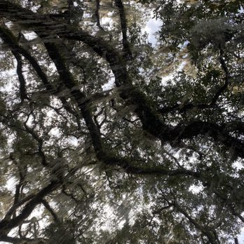 DeLeon Spring State Park - Parks Near Me - De Leon Springs, Florida