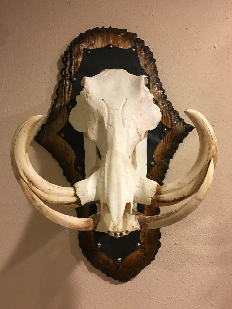 creative taxidermy - taxidermy in Roy, WA