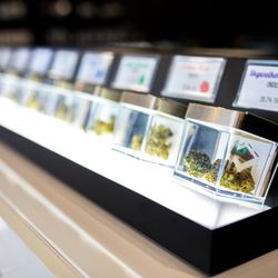Canvas Organics - THC Flower at Canvas Organics Cannabis Store - Albuquerque NM